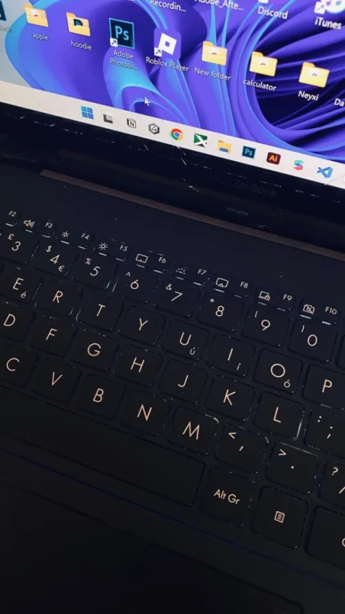 Asus Zenbook Flip 13