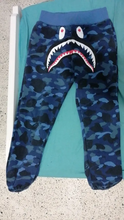 Bape shark