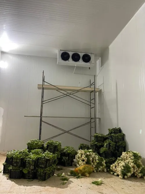 Installation Des Chambres Froides 