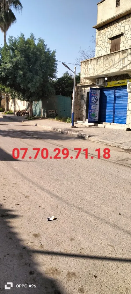 Vente Terrain Blida Chiffa