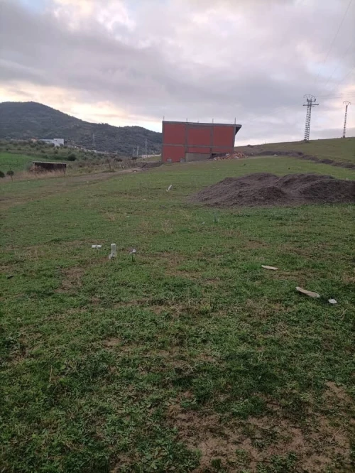 Vente Terrain Jijel Emir abdelkader