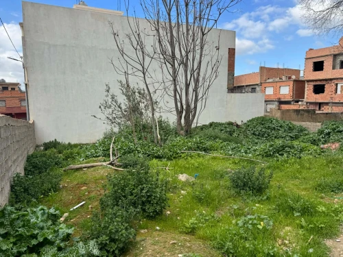 Vente Terrain Tlemcen Tlemcen