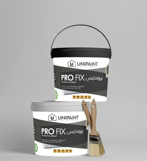 vente et production de painture decorative