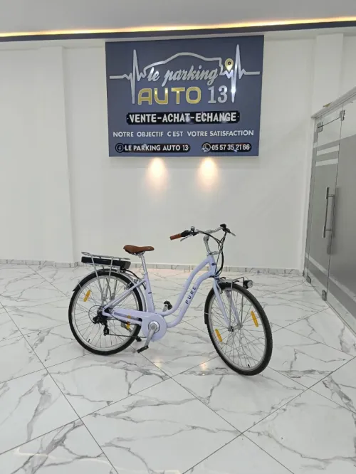 Velo électrique pure