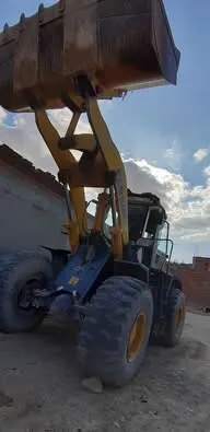 FOTON Fl956f 2008