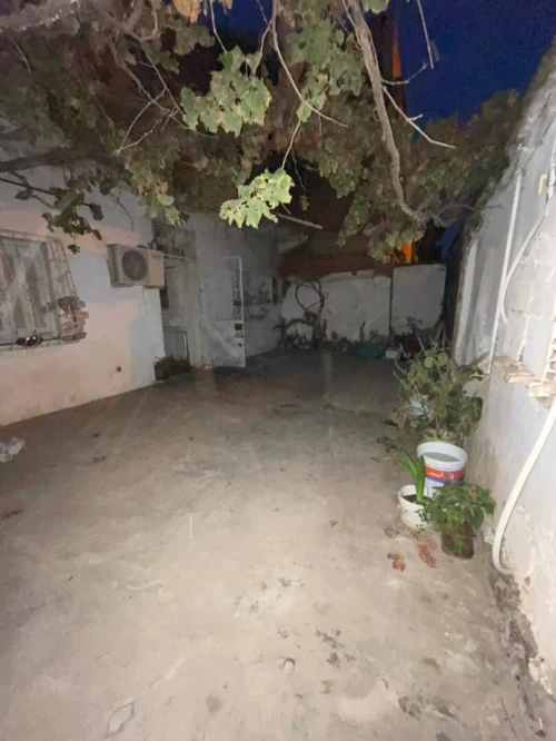 Vente Terrain Alger Les eucalyptus