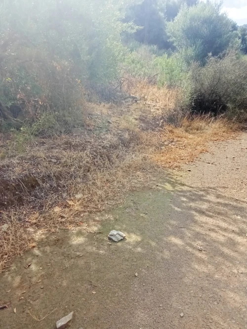Vente Terrain Tizi Ouzou Tadmait