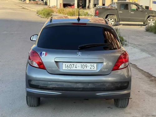 Peugeot 207 2009 Allure