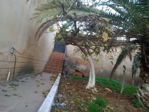 Location Villa Oran Bethioua