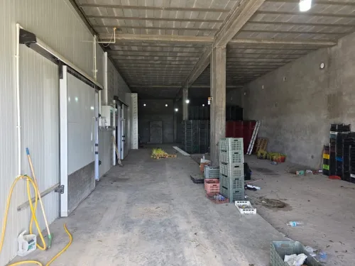 Vente Hangar - Usine Sétif Mezloug