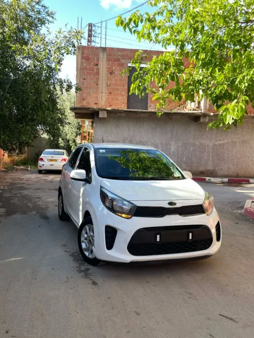 Kia Picanto 2019 EX