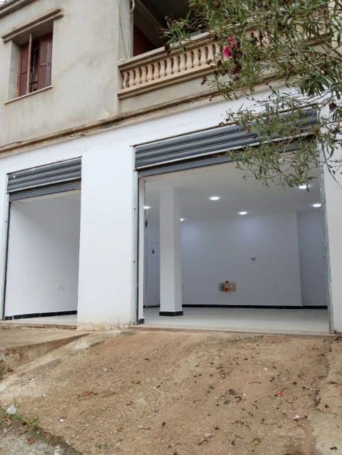Location Local Alger Staoueli
