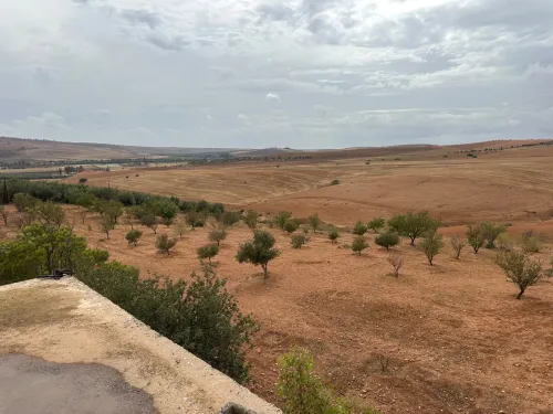 Vente Terrain Agricole Sidi Bel Abbès Sidi hamadouche
