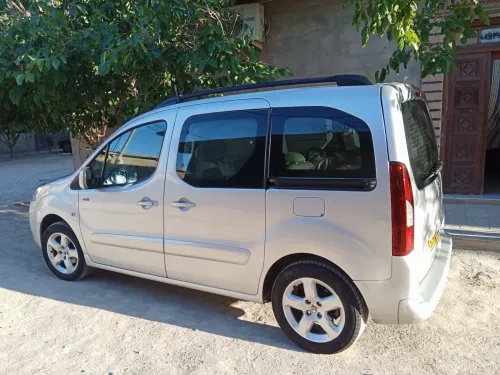 Peugeot Teppe 2012 Pertner Tepee