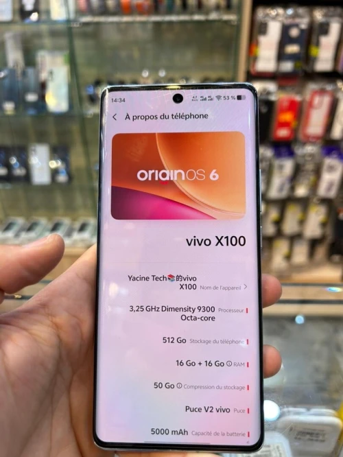 Vivo X100
