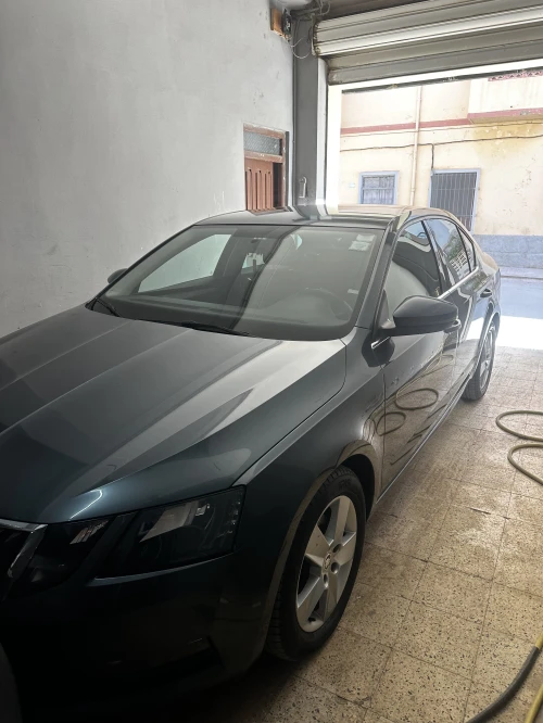Skoda Octavia 2018 Ambiente