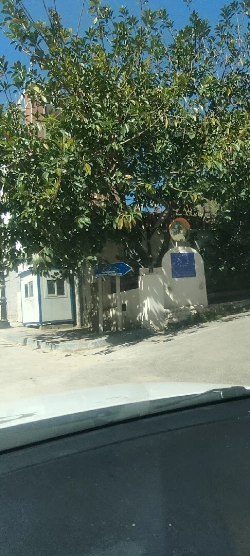 Vente Terrain Alger El biar