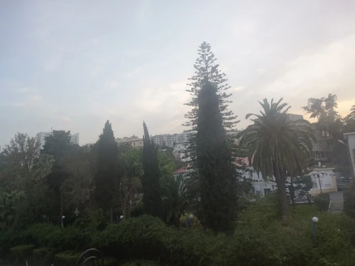 Vente Terrain Alger Bouzareah