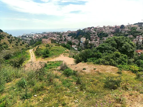 Vente Terrain Alger Bouzareah