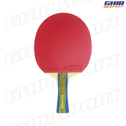 RAQUETTE DE PING-PONG TIMOBOLL MCDAVID | 00838