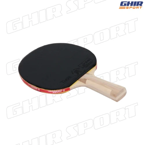 PING PONG RAQUETTE GIANT DRAGON TAICHI P40+  | 01146