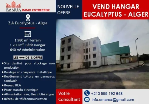 Vente Hangar - Usine Alger Les eucalyptus