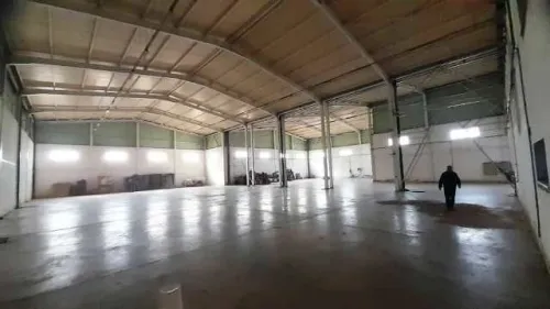 Vente Hangar - Usine Alger Les eucalyptus