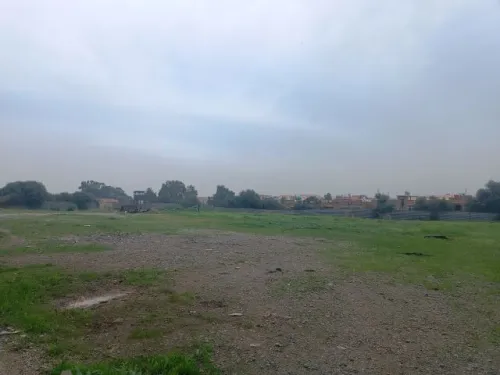 Location Hangar - Usine Alger Rouiba