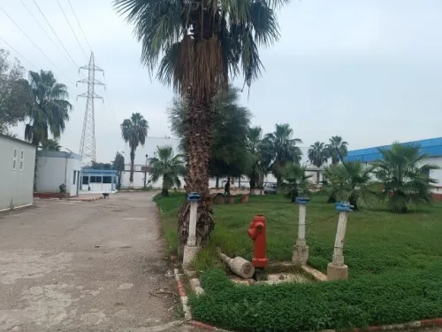 Location Hangar - Usine Alger Reghaia