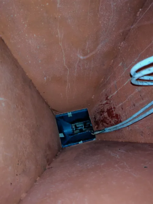 Vise huilerie+ chaudière huilerie 