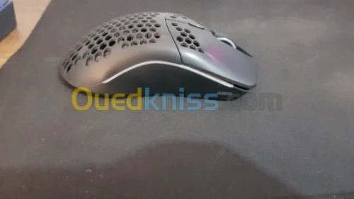 souris 