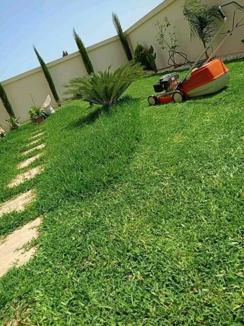 Gazon naturel عشب طبيعي 