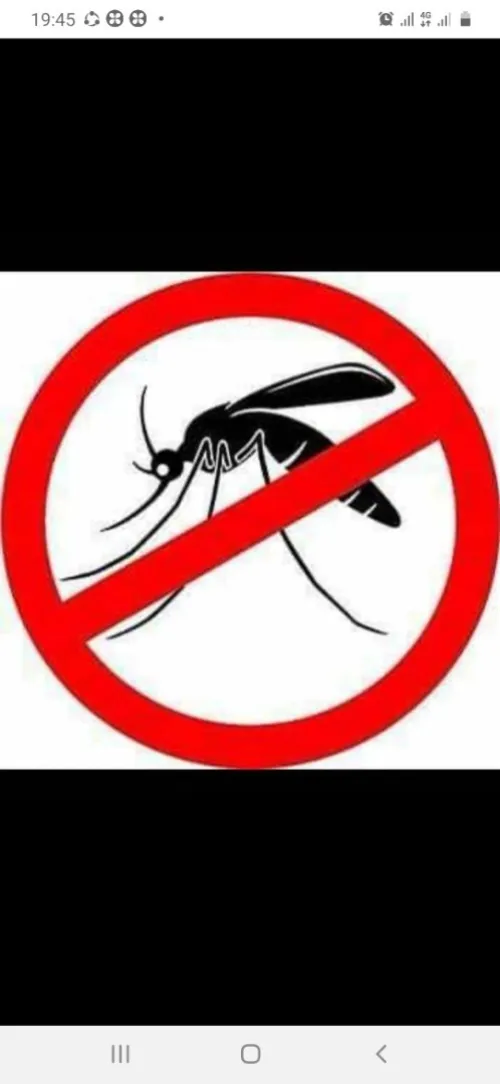 Moustiquaire Enrouler 