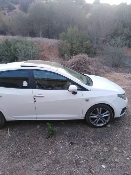 Seat Ibiza 2012 Loca