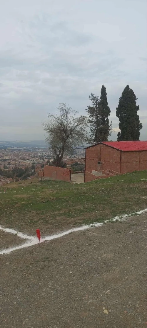 Vente Terrain Blida Blida