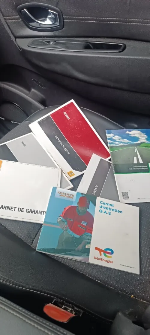 Renault Scenic 2013 Bosse