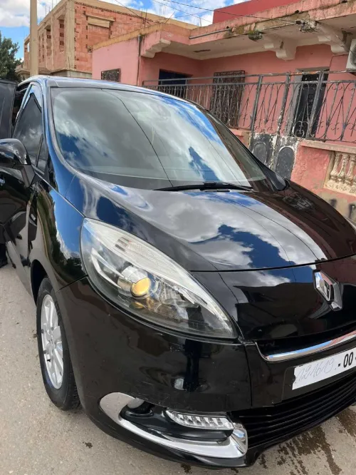 Renault Scenic 2013 Bosse