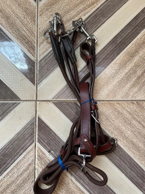 Équitation cheval