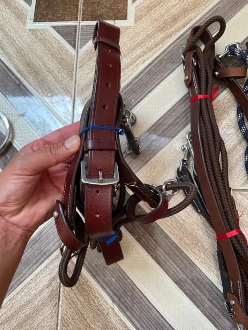 Équitation cheval