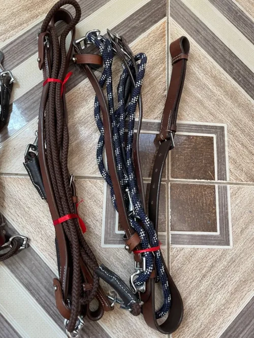 Équitation cheval