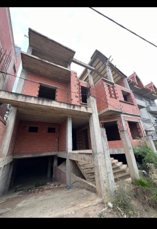 Vente Villa Alger Birtouta
