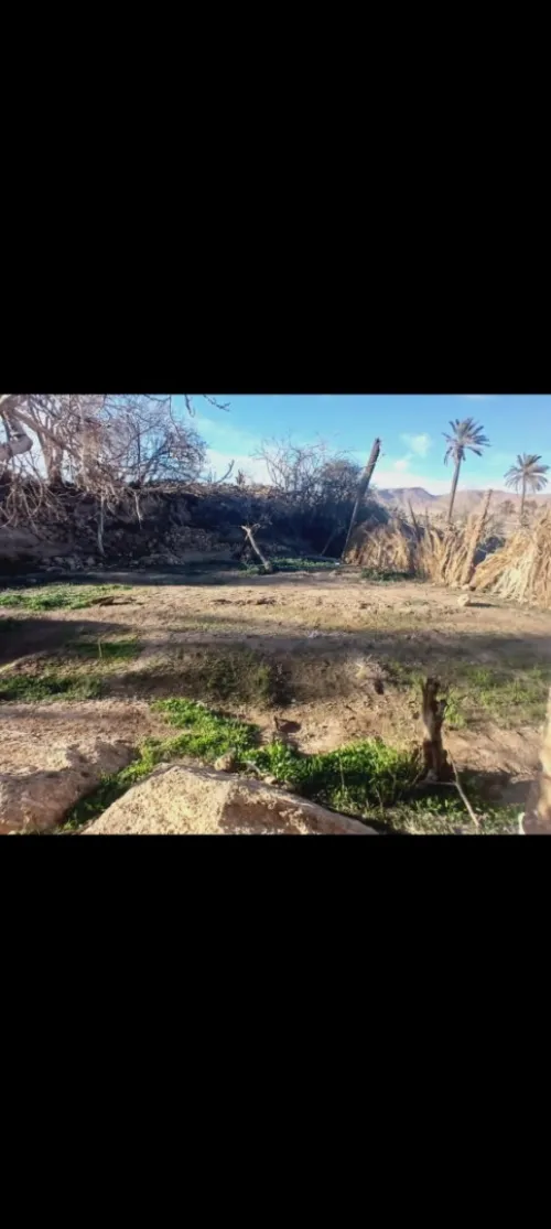 Vente Terrain M'Sila Bou saada
