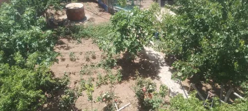 Vente Terrain Sétif Ain arnat