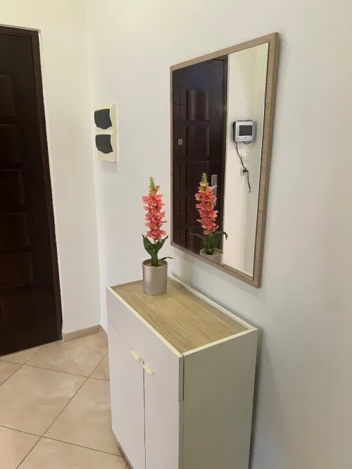 Location Appartement F4 Alger Dely brahim
