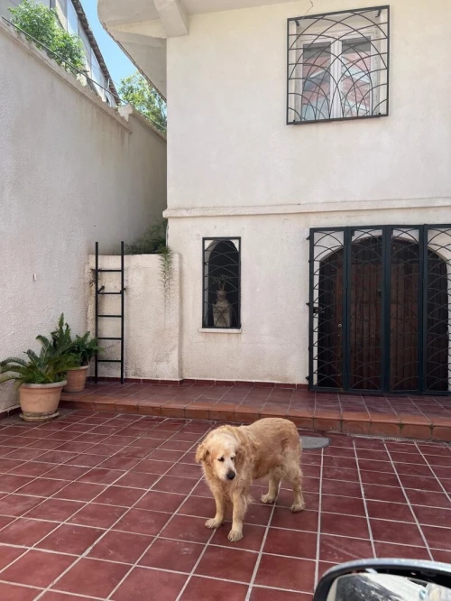 Vente Villa Alger Beni messous