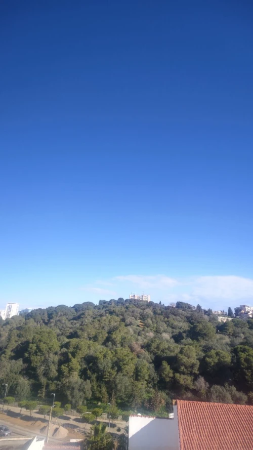 Vente Villa Alger Hydra