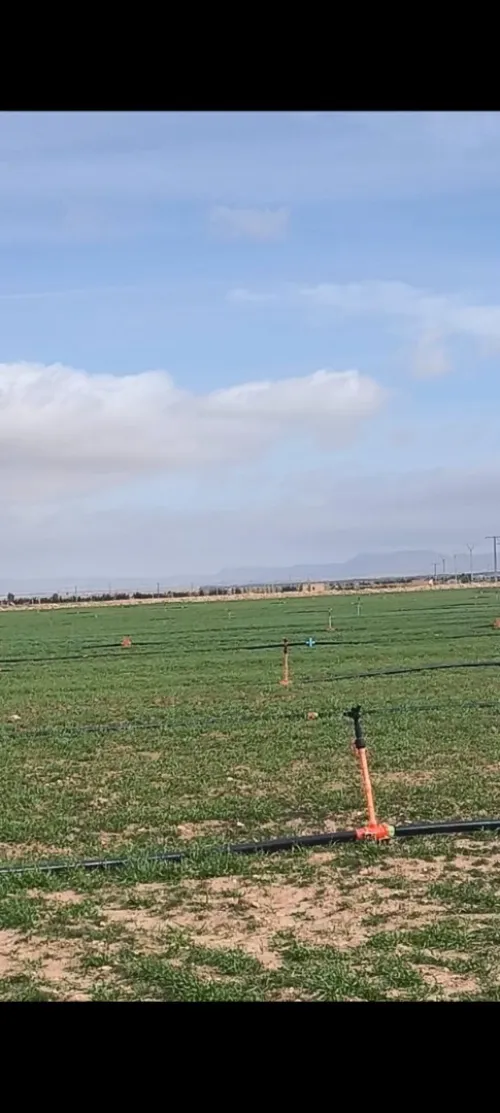 Vente Terrain Agricole Djelfa Benhar