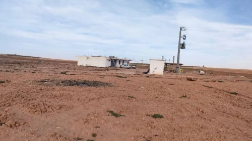 Vente Terrain Agricole Djelfa Benhar