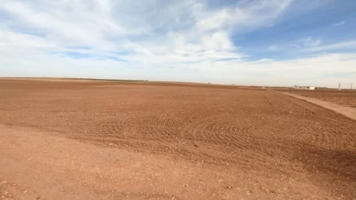 Vente Terrain Agricole Djelfa Benhar
