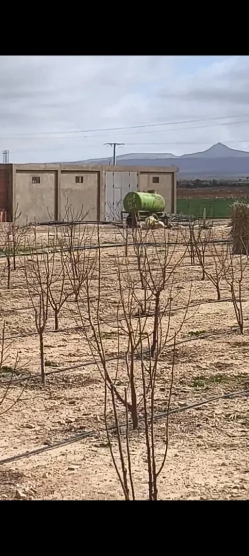 Vente Terrain Agricole Djelfa Benhar